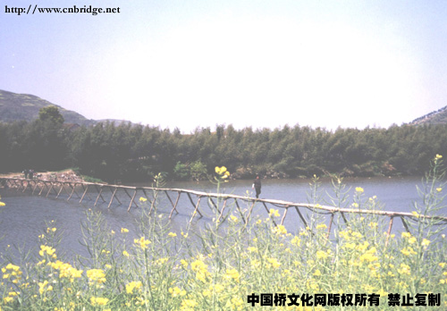 棠村木桥.jpg